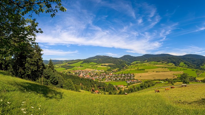 Landschaft
