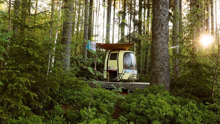 Mitten im Wald steht ein kleiner Camper auf einer Plattform.