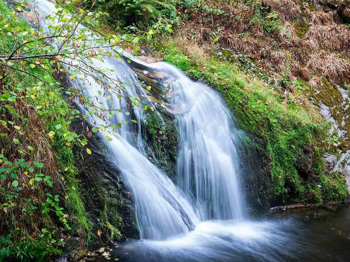 Kleiner Wasserfall im Wald.