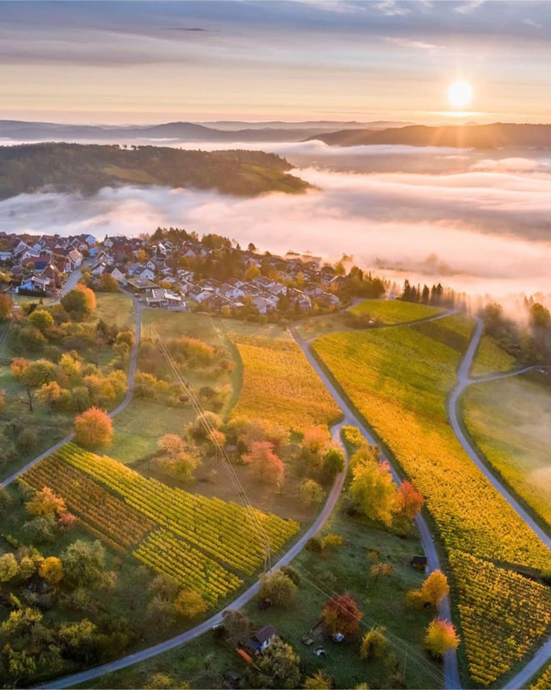 Luftaufnahme eines Dorfes in einem nebligen Tal, umgeben von Weinbergen