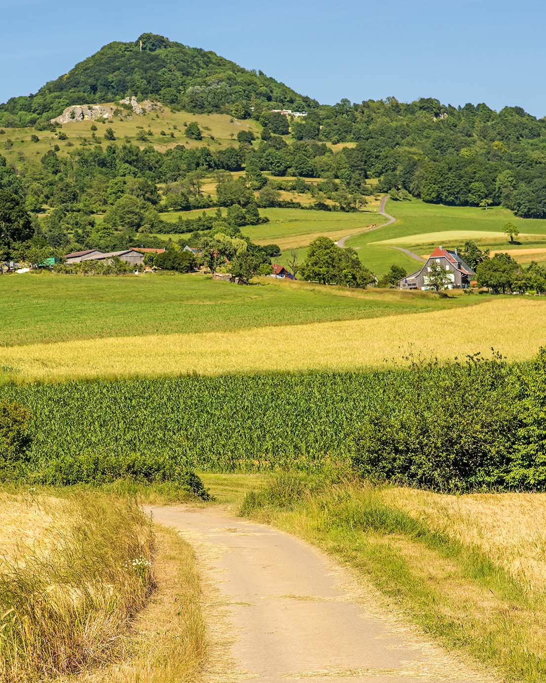 Ein Weg führt über Felder und im Hintergrund sieht man ein Berg mit Häusern