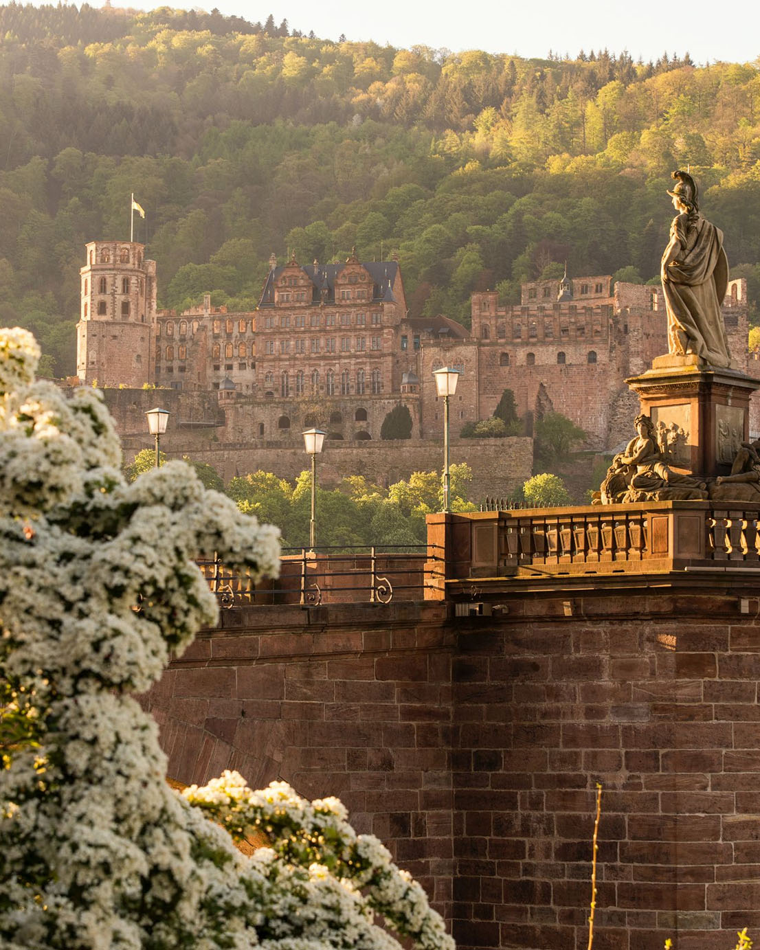 Aufnahme vom Heidelberger Schloss