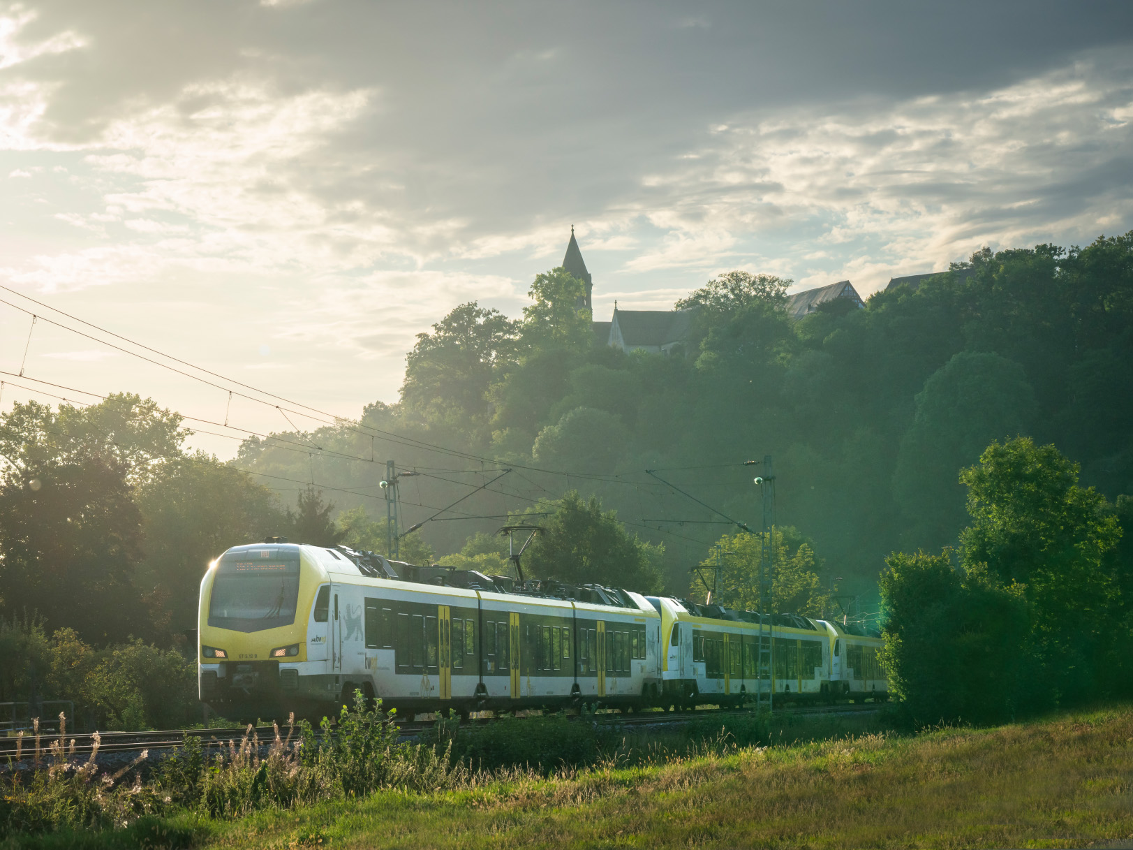 Ein Regionalexpress fährt durch eine grüne Wiesenlandschaft