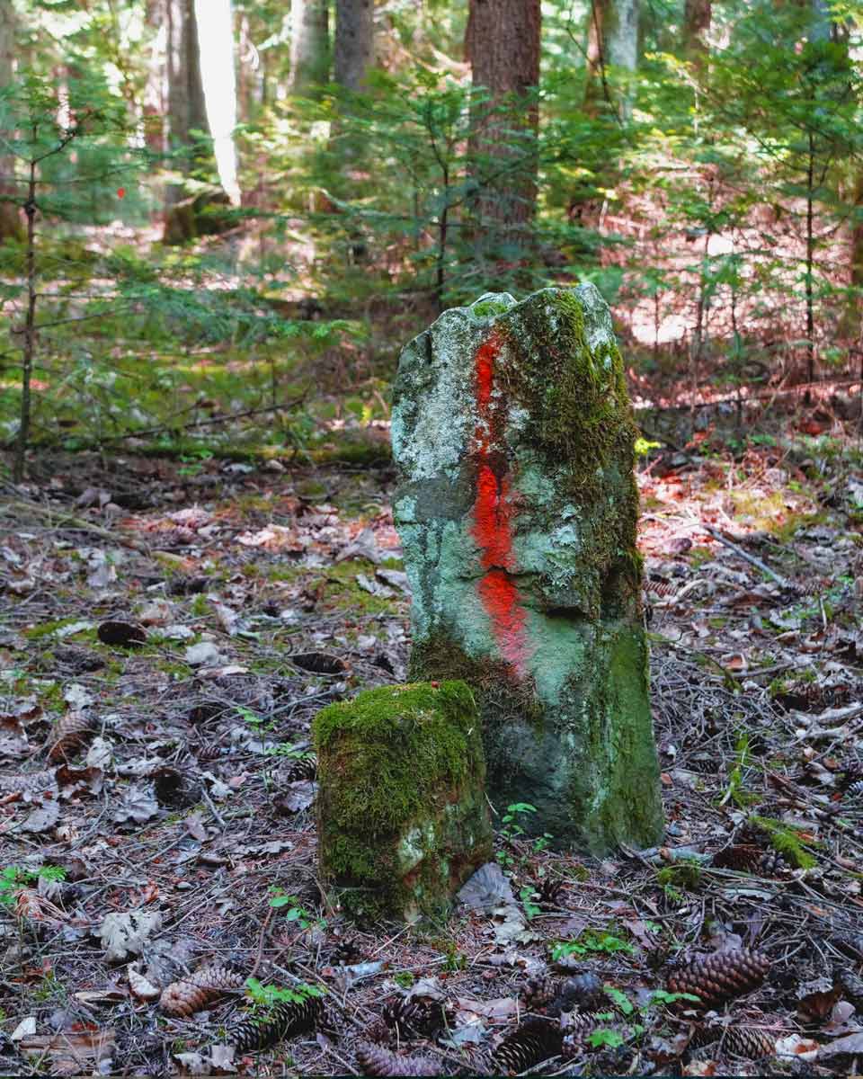 Moßüberwachsener Stein im Wald mit roter Markierung.