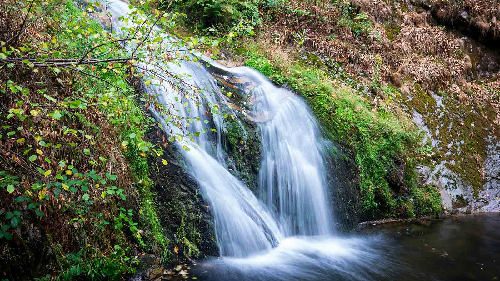 Wasserfall im Wald.