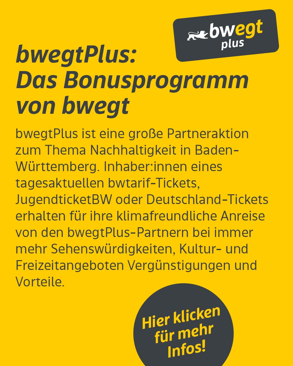 Ein Infoblatt mit einer Erklärung, was bwegtPlus ist.